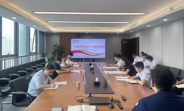 集团公司列席旁听甘肃资管党总支专题进建会